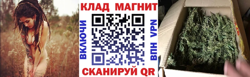Все наркотики Каргополь Псилоцибиновые грибы  Cocaine  Alpha-PVP  ГАШИШ  Марихуана 
