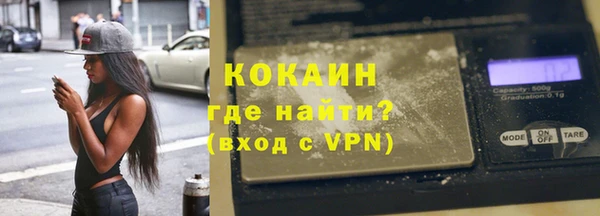 гидра Абаза