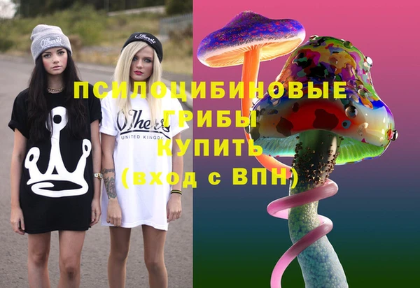 spice Алексин