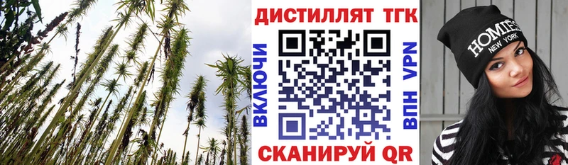 как найти   Каргополь  Дистиллят ТГК вейп 