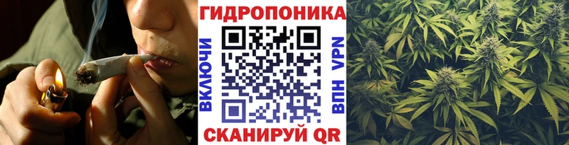 MEGA как зайти  Каргополь  Шишки марихуана THC 21%  где купить наркотик 